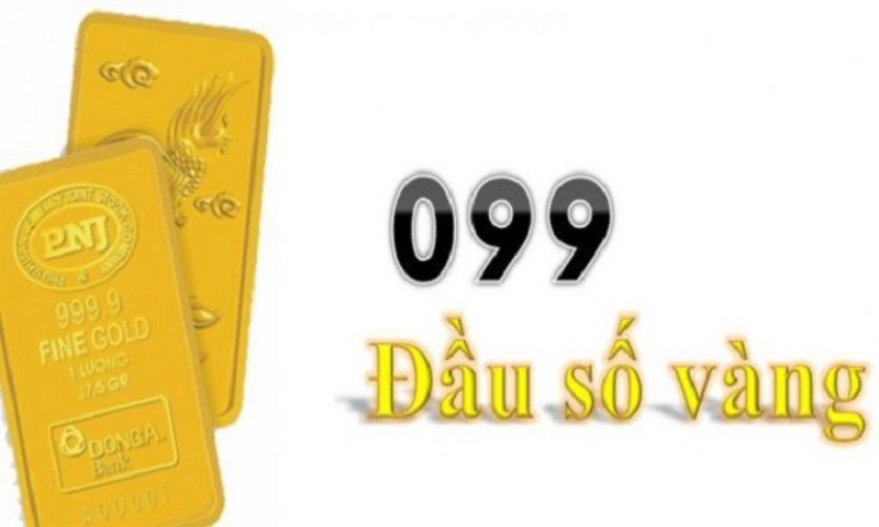 Sim-Dau-So-099-3