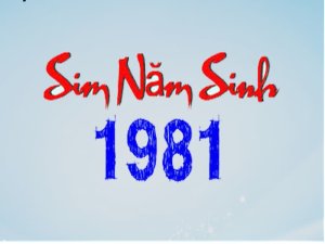 Sim ngày tháng năm sinh 1981 là dòng sim số đẹp của sim năm sinh. Nó giúp cho người sử dụng lưu lại những ngày tháng đặc biệt nhất trong đời