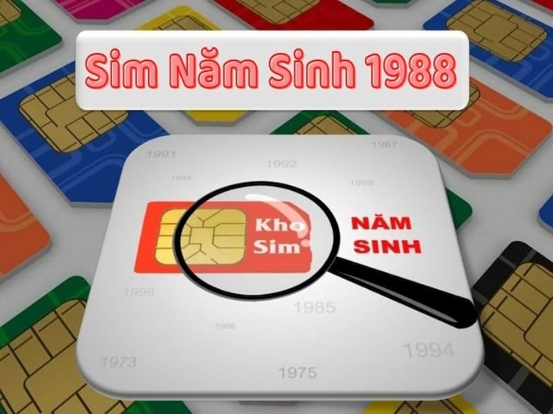 Sim ngày tháng năm sinh 1988 là gì?