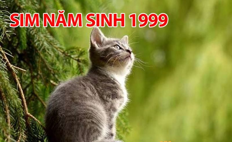 Sim năm sinh 1999 là dòng sim số đẹp có đuôi sim năm 1999