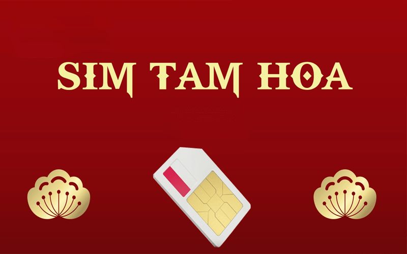 Ý nghĩa của Sim Tam Hoa 444 