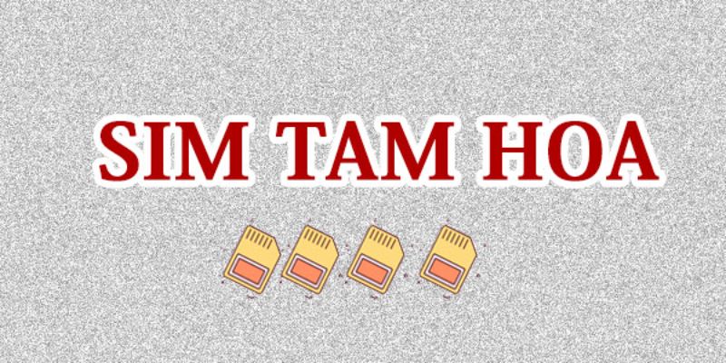 Chọn Sim Tam Hoa 555 theo đầu số 